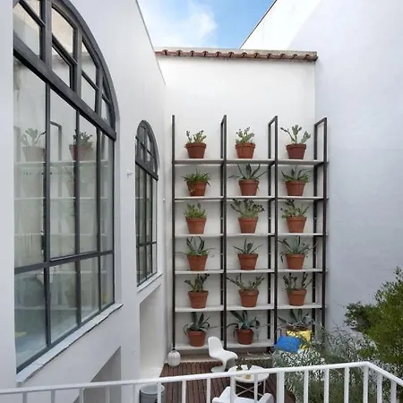 Capri