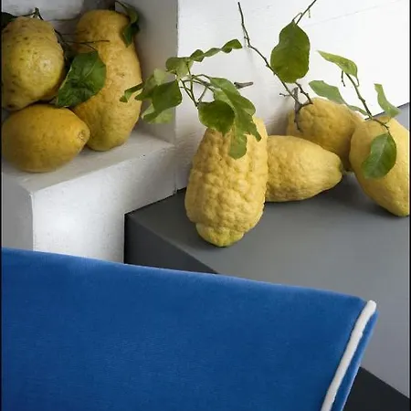 Capri אנה קאפרי